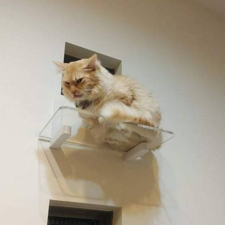 4a813058 df7b 4993 b0b4 acc20dc08e48 1640940013358