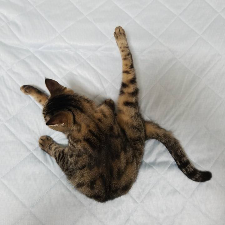 4a814a71 34f8 4e49 b181 50135a27bcf0 1569446671109