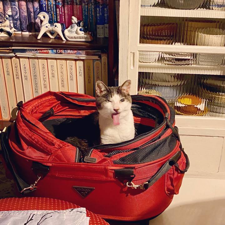 4a81a40f 0de5 4448 abb4 40909f615324 1592143478293