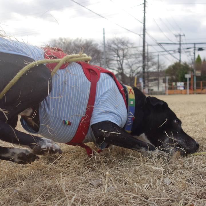 4a81e7b8 8ec3 410a 81a5 653183972e1d 1674795070954