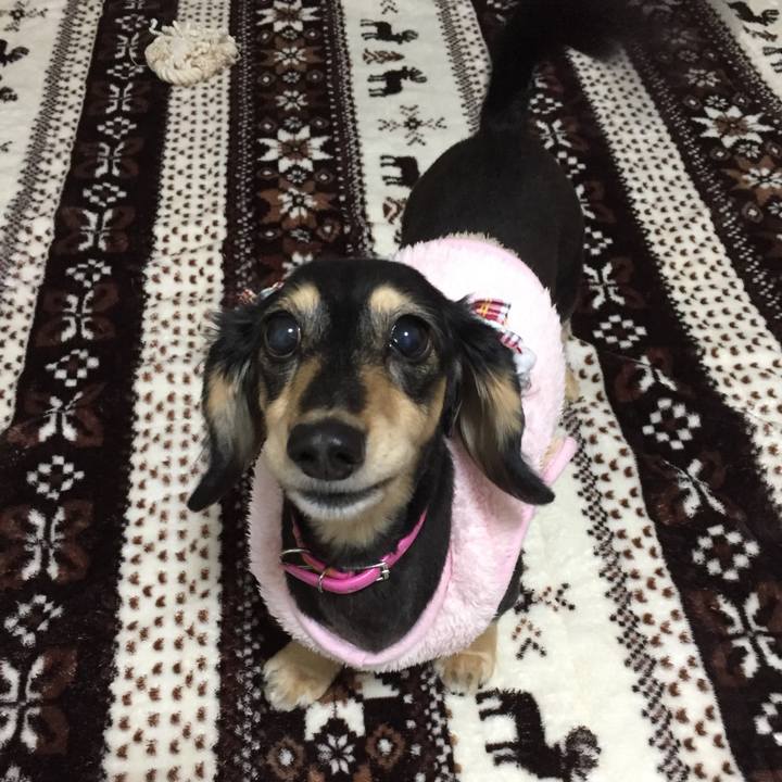 4a821b92 82d9 43db 8707 aa360b3b5049 1511853657130