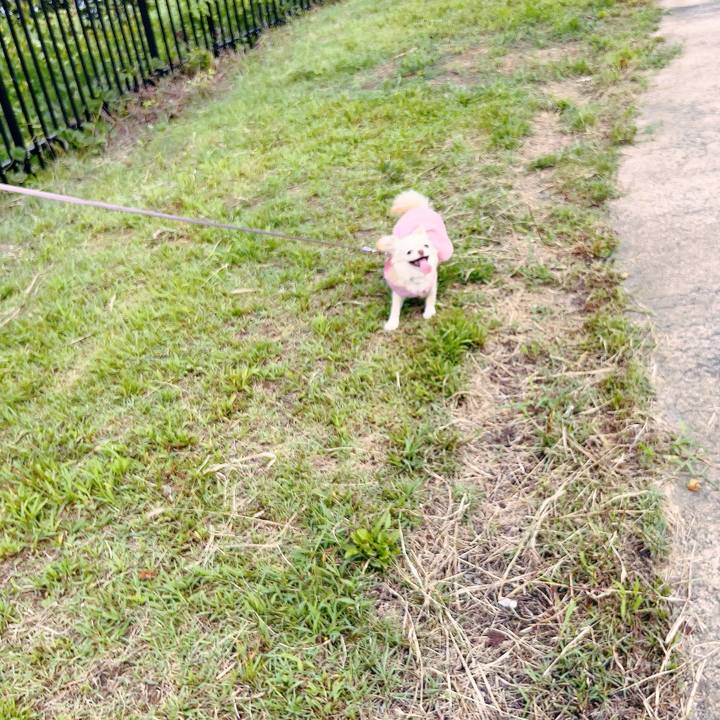 4a8221e3 9ad6 4f57 8428 13bfcc9dec93 1694425589344