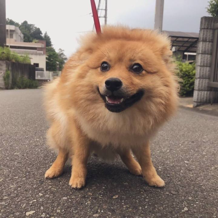 4a827de0 b0e2 4061 89f2 361385d81fa5 1591435358827