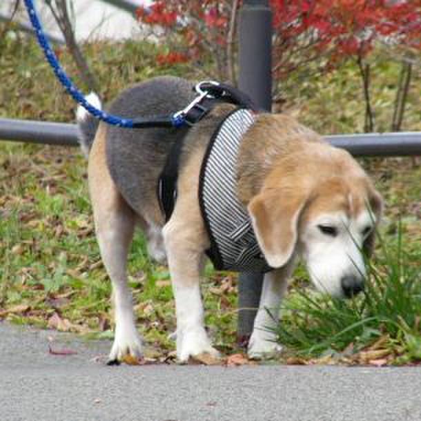 4a829b35 ae27 4de4 a2ca 4fdb7c3fccec 1658186702699