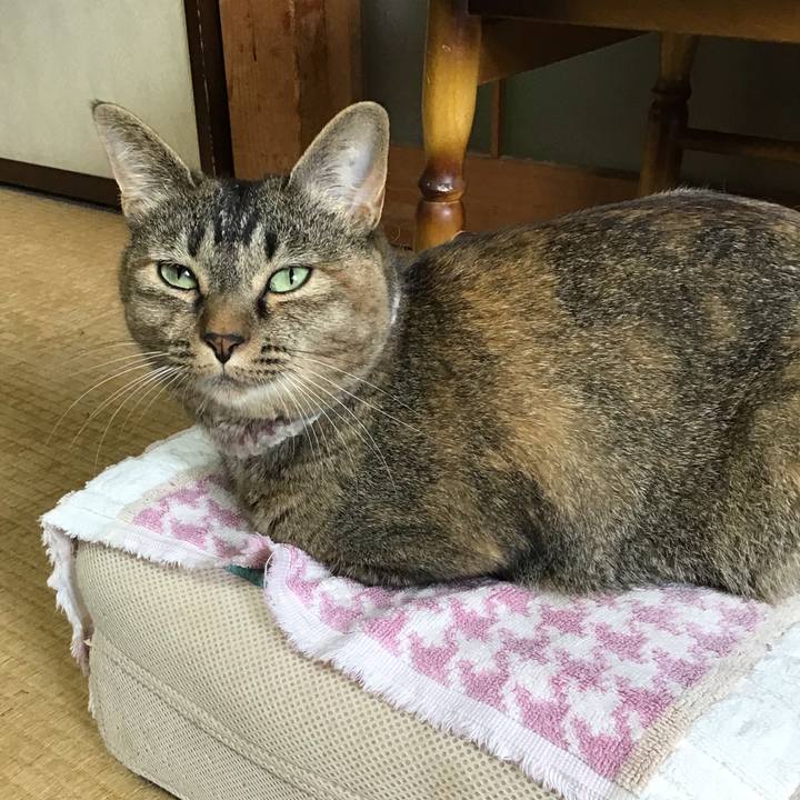 4a829f0b 1bc1 47fa a32c c558abf327ad 1658052186571