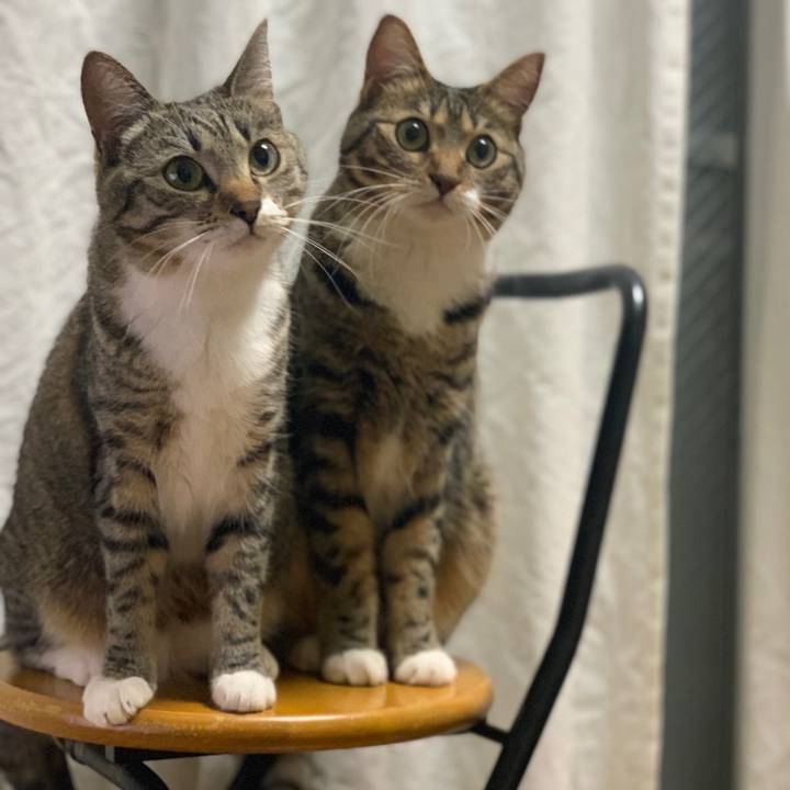 4a82b77e 4488 4816 a574 d5cd616d3cc6 1557147206276