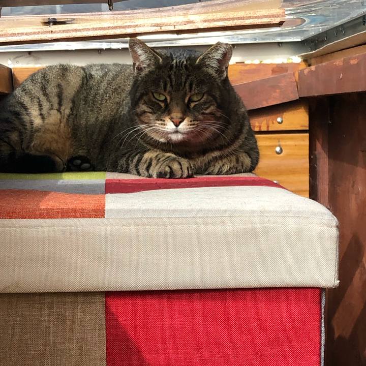 4a82e3d9 d342 4e0b 9db3 870ebb49de23 1606614045976