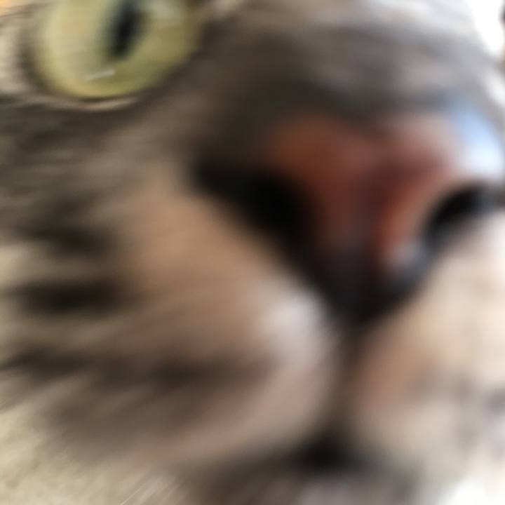 4a82e8d5 203c 47be 8fd3 4b2c2de633fc 1523874920618