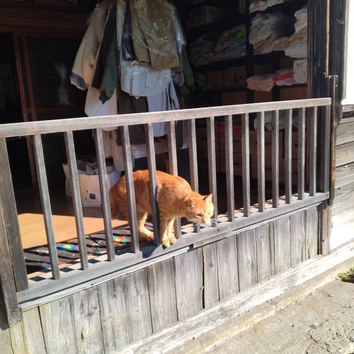 4a82f7e7 f75f 43de 8cdf 8cc79a794524 1666138838117