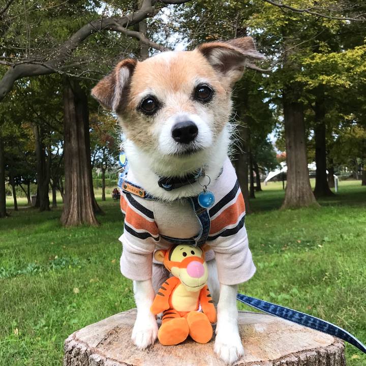 4a831098 e2f6 4e53 8105 dddb1d9ca59f 1640998814951