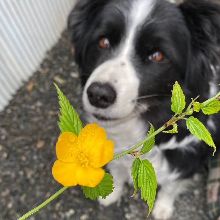 4a8312ce a881 4962 8e7e 9b0970a1e1f4 1616199757363