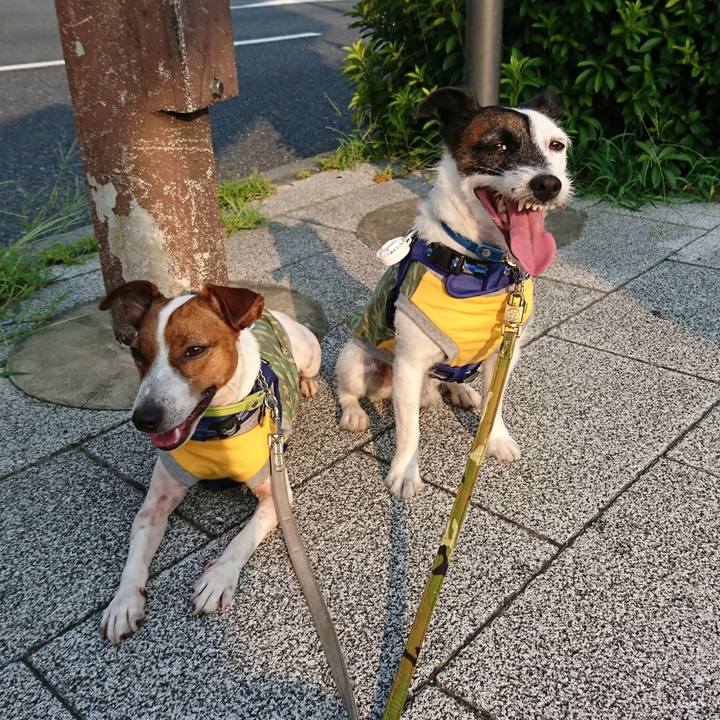 4a831ce7 b71f 442c 9fed aef46910c4ed 1564609657846