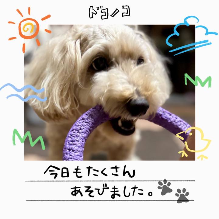4a835d9b c1ac 4f87 934a da8d81ee7f55 1755076798691
