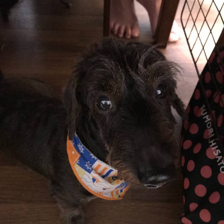 4a836129 eb69 472e 98da 61d6d1c93293 1534855782069