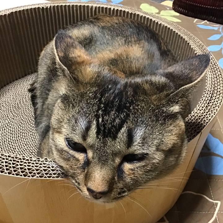 4a83d4e0 e3a7 475d b696 651fb284cb3c 1733824163077