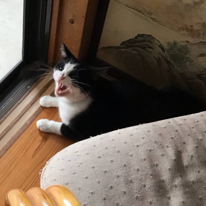 4a83de4f 85fb 47d6 b9e7 983bda7419b1 1756104774488