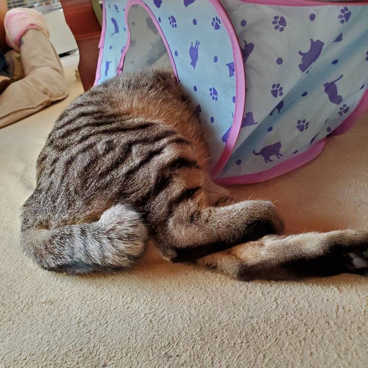 4a83ead3 2de0 40bd 9717 e0aeb4c353b0 1704381911503