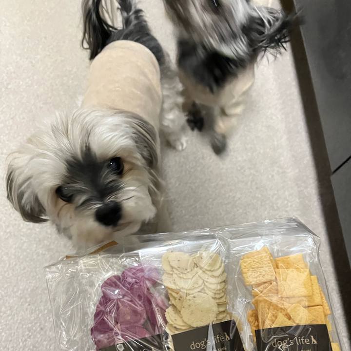 4a83ec12 a96f 4453 93a7 7c2c8b9f00bc 1771161447930