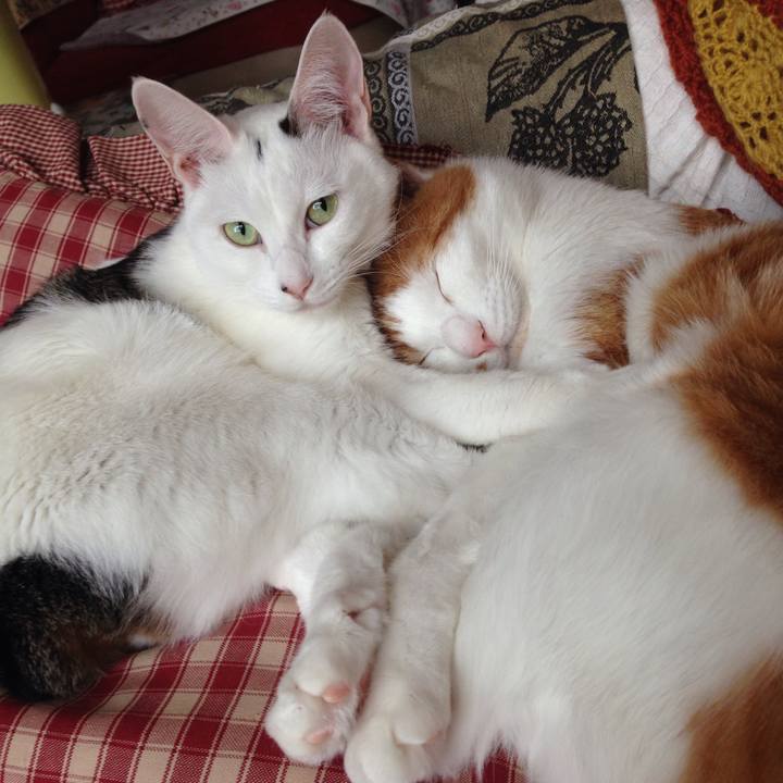 4a83efe4 a362 4a70 9227 f95447f33860 1513028128888