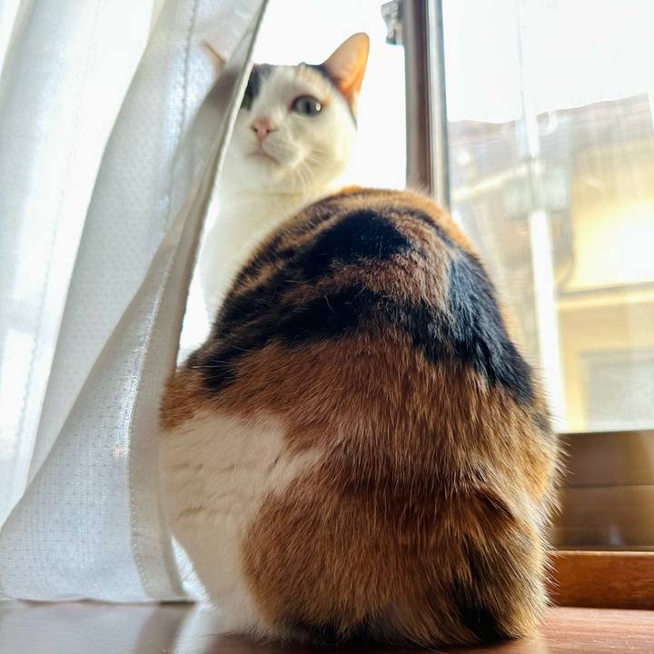 4a83f664 99bc 421b aeba 4e14fbeffbb5 1673831692774