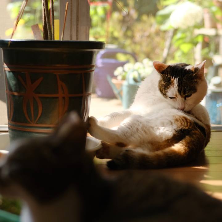 4a840b83 3f1e 4454 9075 923724695548 1687564253323