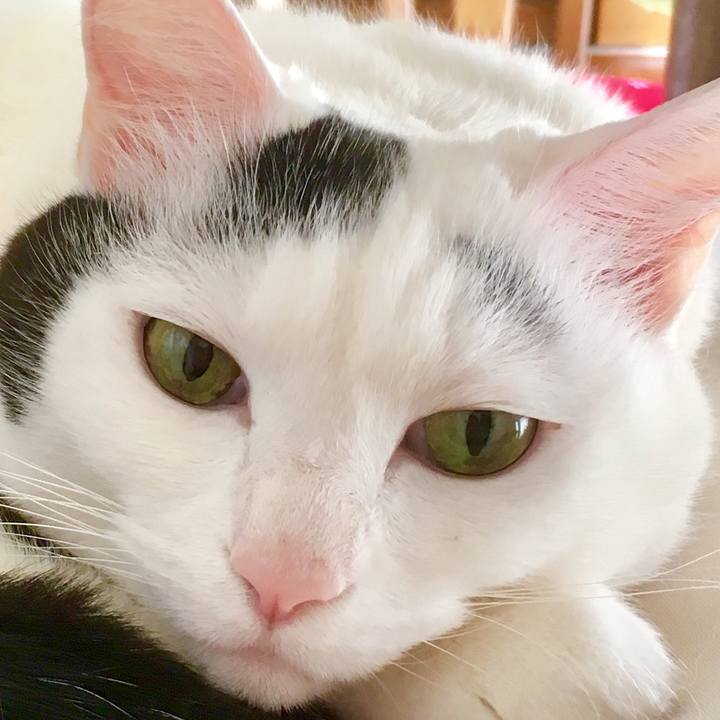 4a842338 e5b9 4d54 875b b92247abba90 1555796774093