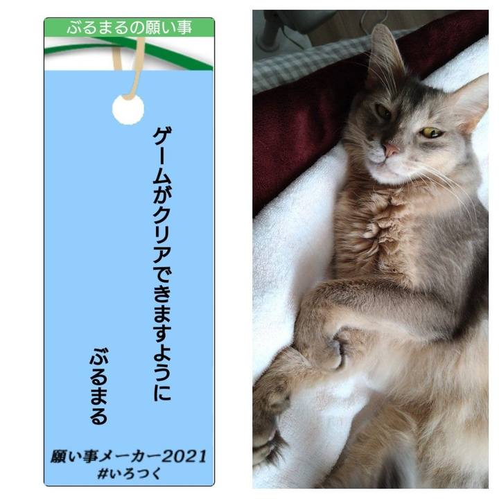 4a842b10 e90d 4ce8 8743 4e227cc5ff20 1625658925611