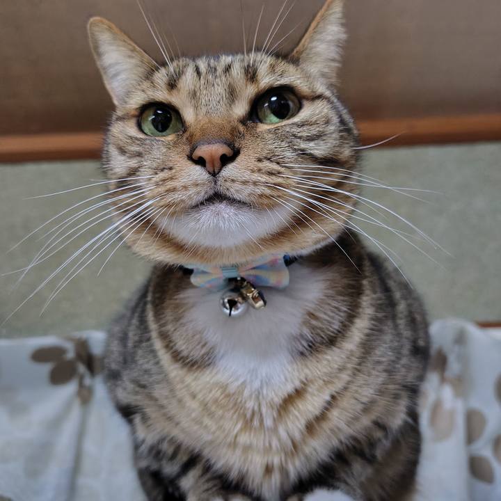 4a846cc6 ee31 47f4 80f3 ae6f940d6139 1764732103792