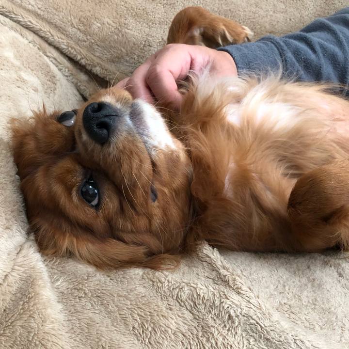 4a8472d8 f3b4 42df a408 2d7701351b55 1551481570351