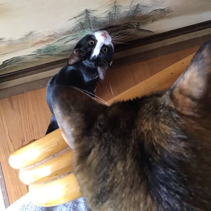 4a85060f 3958 488b 9244 28f6ab480677 1628653864749