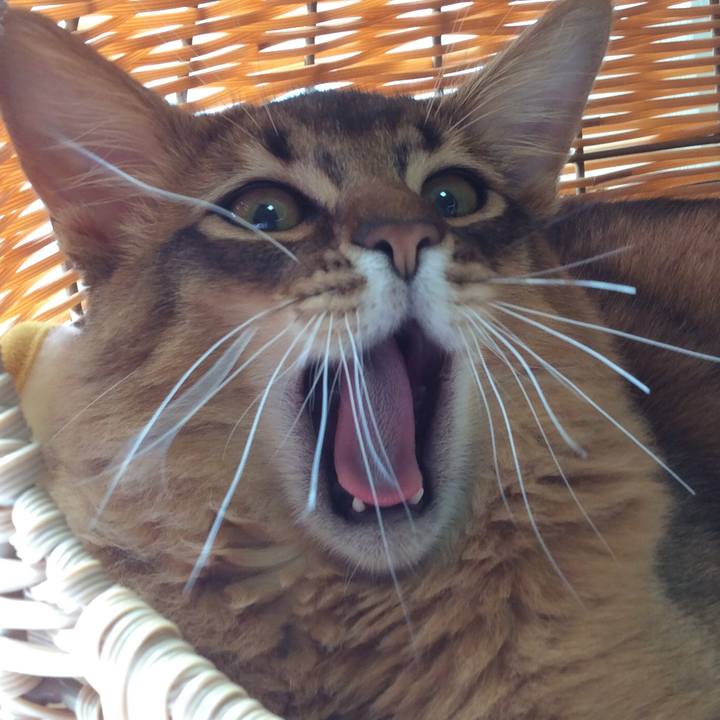 4a850644 2142 4020 a827 78b9ab0330df 1583202757283