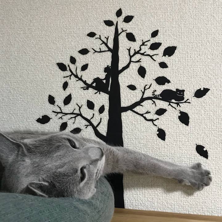 4a8525d0 b78a 46c9 86a5 2712f3987869 1532177807039