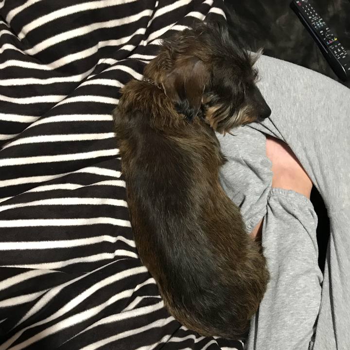 4a85655a 8f8e 4d68 b4f9 9787521883d3 1521813941518