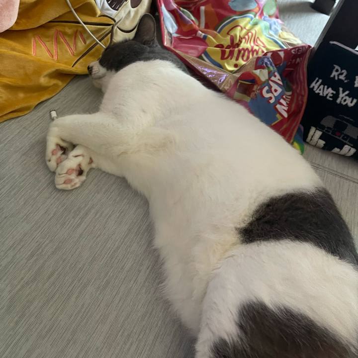 4a856d81 7380 4903 aed0 59fab87fee30 1752394601141