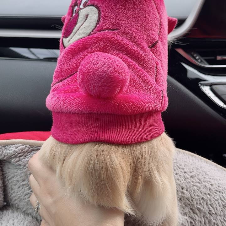 4a85a3d0 af3b 443f 9d7c 8b9d4a7fcec1 1731717457503