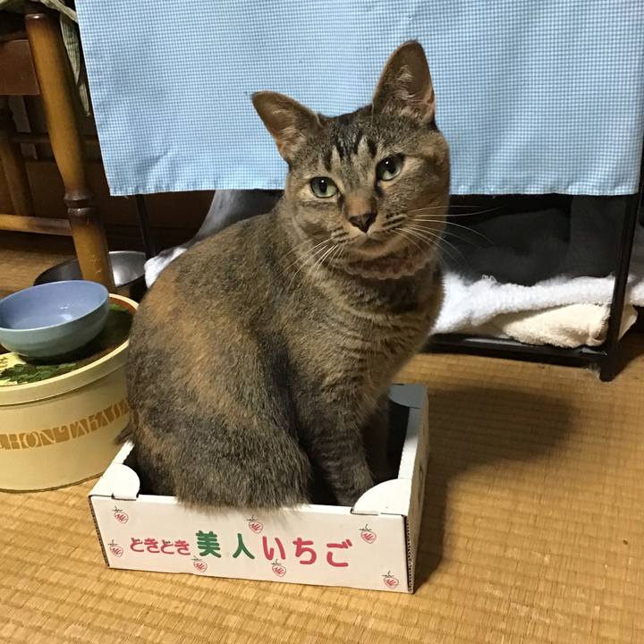 4a85bc85 1c82 413e 867d 01823e53f6f7 1656761575918