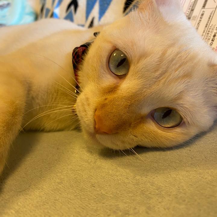 4a85da63 6d70 4516 95ae 4a292b767a69 1604212744373