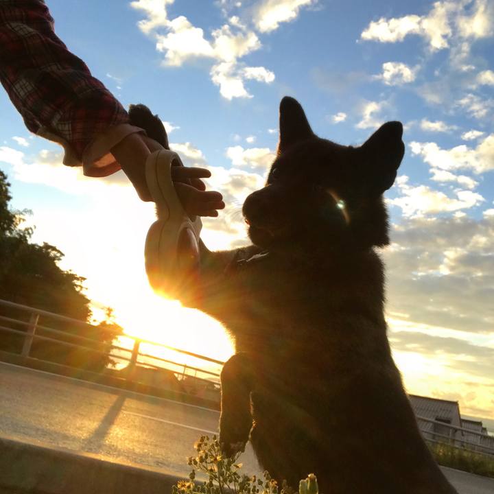 4a85e59c 1bb6 433c ade0 86c5c6452349 1538040239781