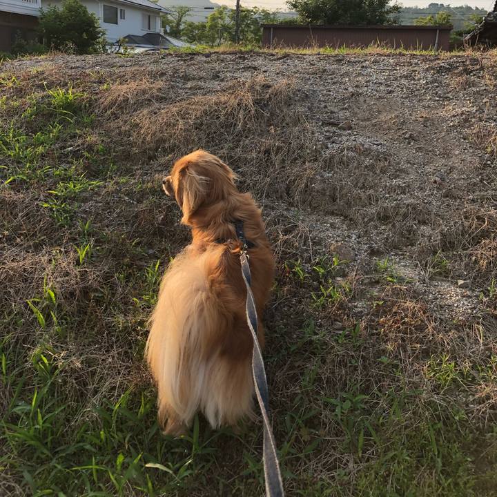 4a85ea92 1193 4858 90f5 51b53b908209 1529970079311