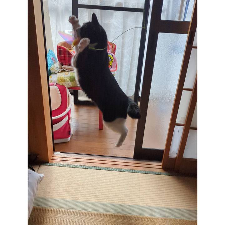 4a85fa91 43f5 408a bae6 7f6eb554a2d0 1709524489989