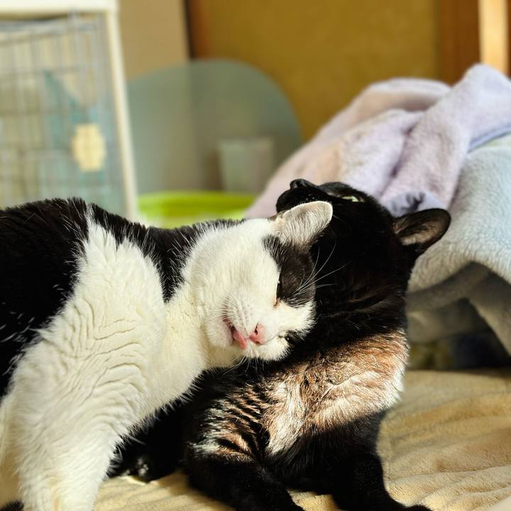 4a869f2d a421 44e1 8dd4 492783c160f5 1705195522020