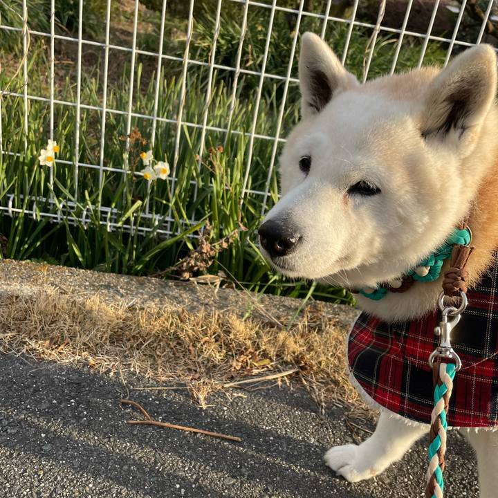 4a86f1e3 6db6 42c0 ae51 398059ef6fea 1677820688537