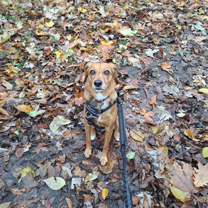 4a870e68 dbca 4c8f 80a5 ca9ba665adeb 1764192924894