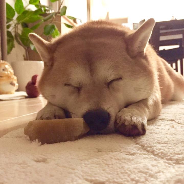 4a876cc5 d9d1 466c 9a61 100bf325b855 1520246550432