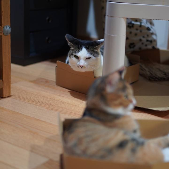 4a87d6ee 8628 4545 a0d7 542f4129508d 1625925131688