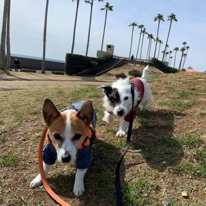 4a881414 0e23 44fd ab35 b7b78c33483b 1709035050659