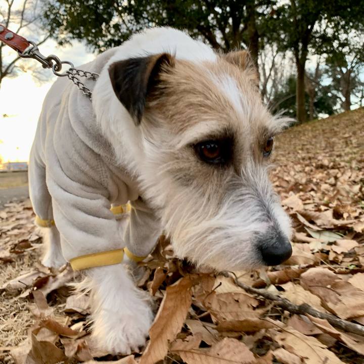 4a883981 6549 4dd8 9b52 9d5f305da006 1674384882464