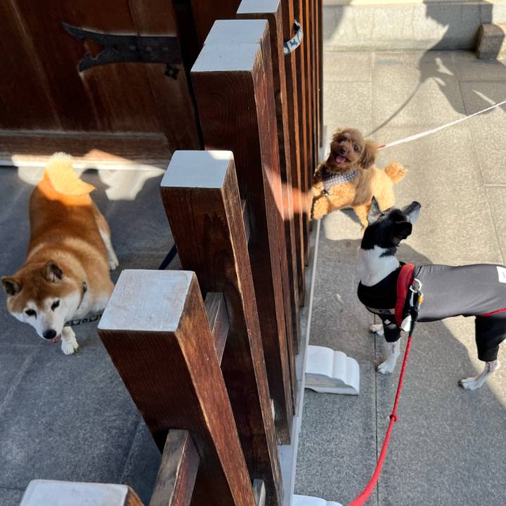 4a884846 25d2 4c53 af54 458b2f3a2d4e 1654990293862