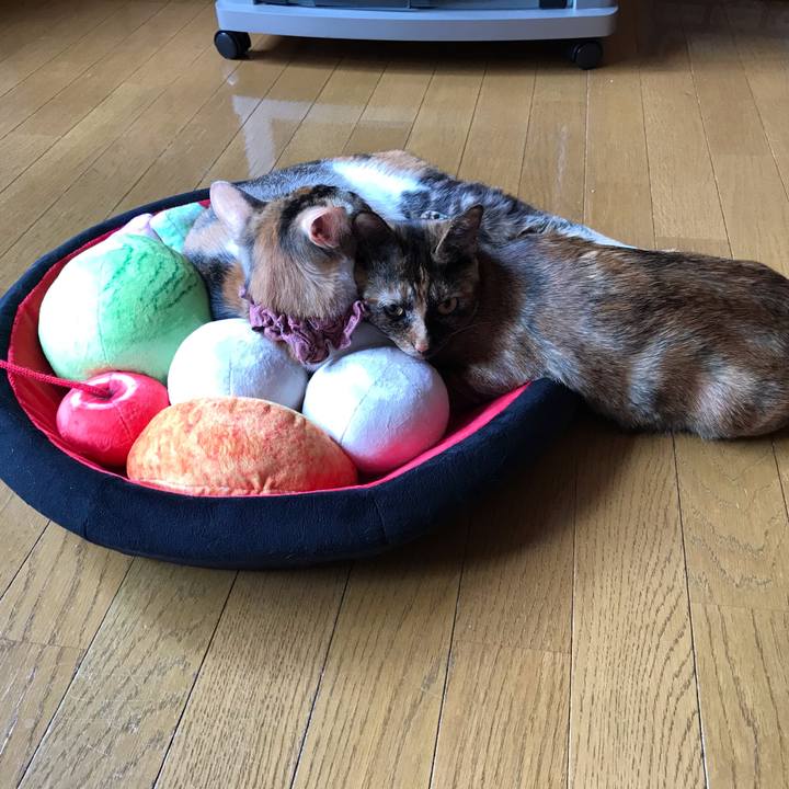 4a885591 c810 4a6a 8c1e 3541eba53154 1625527325853