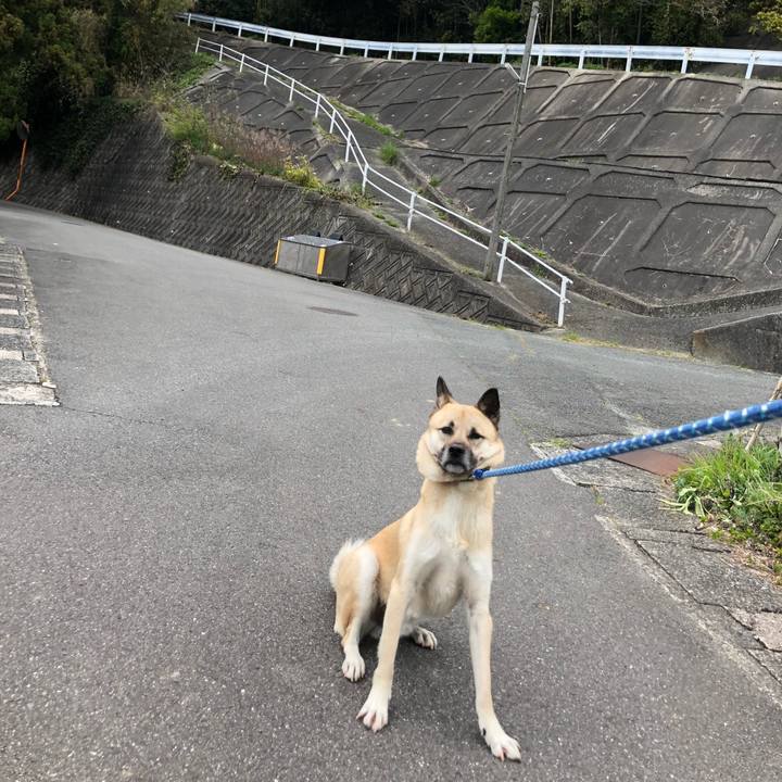 4a885af2 cdf1 40a2 9c44 4915eaedef79 1586592571937